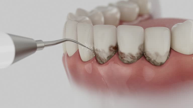 Reliable Dental contractor in Breaux Bridge, LA by Dentist Open Now